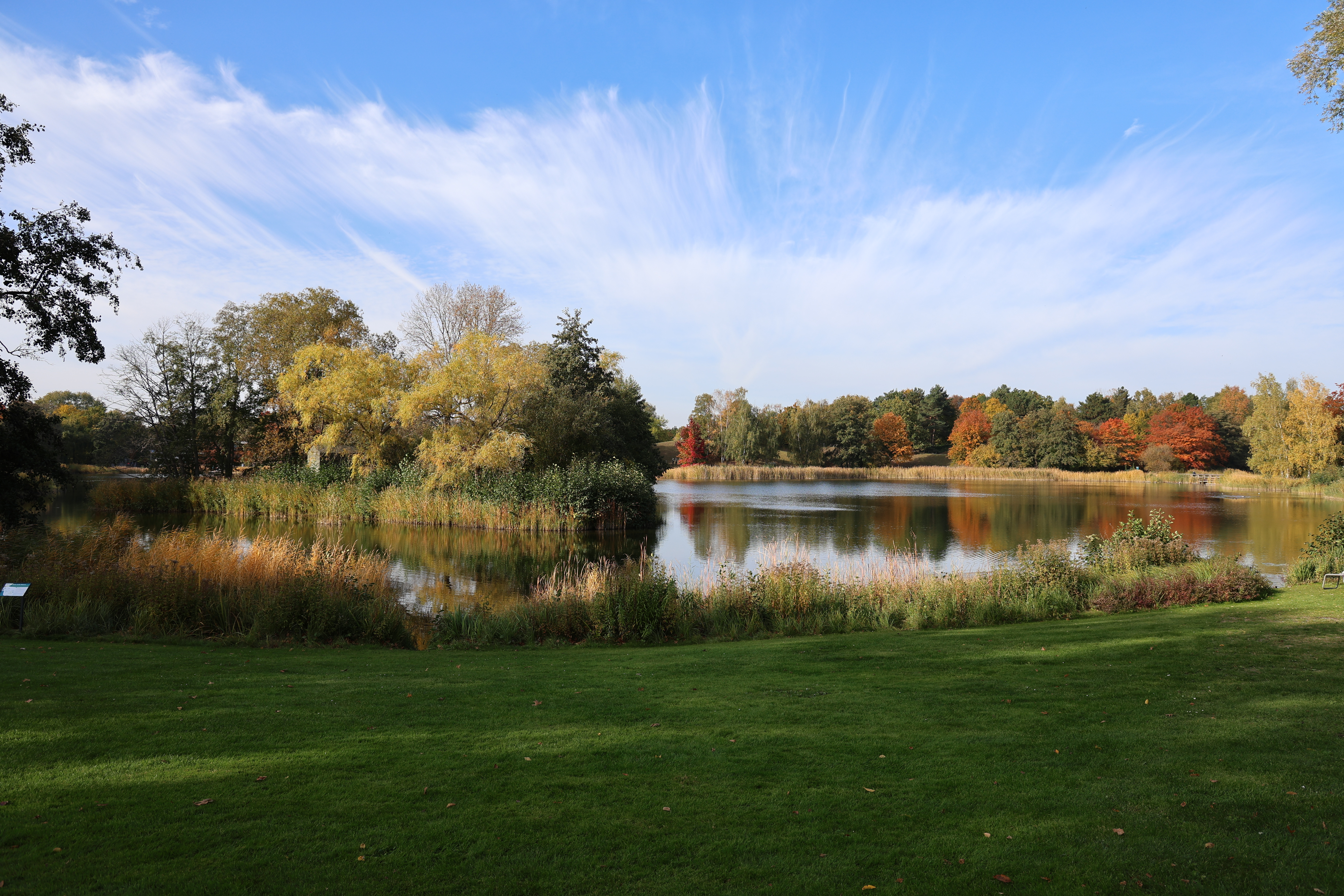 Unbearbeitetes Foto aus dem Britzer Garten in Berlin vom 20.10.2024