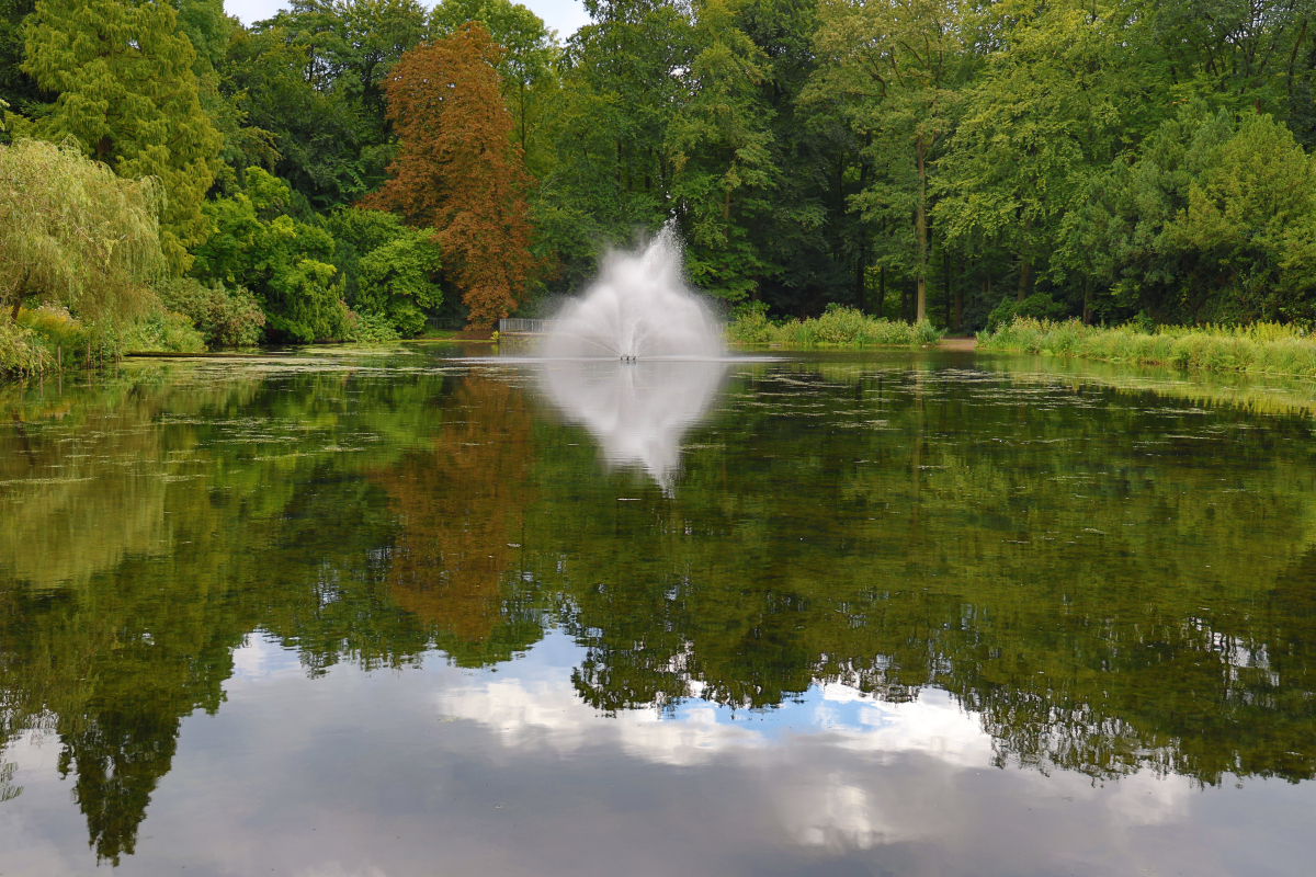Naturbild