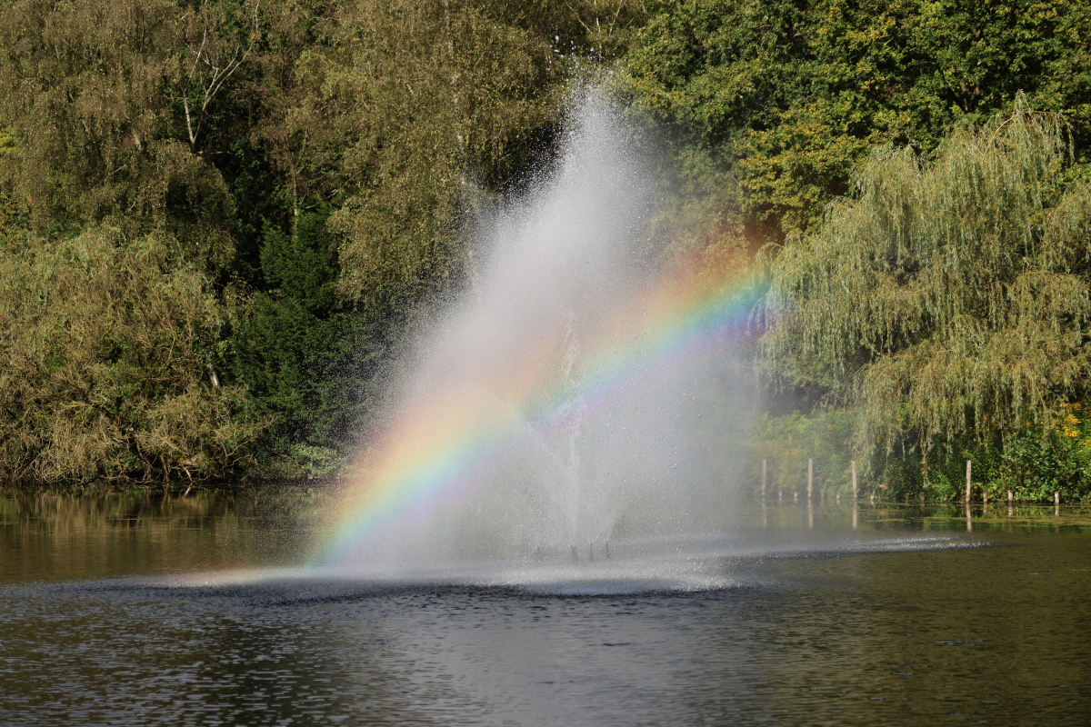 Regenbogen in Wasserfontäne