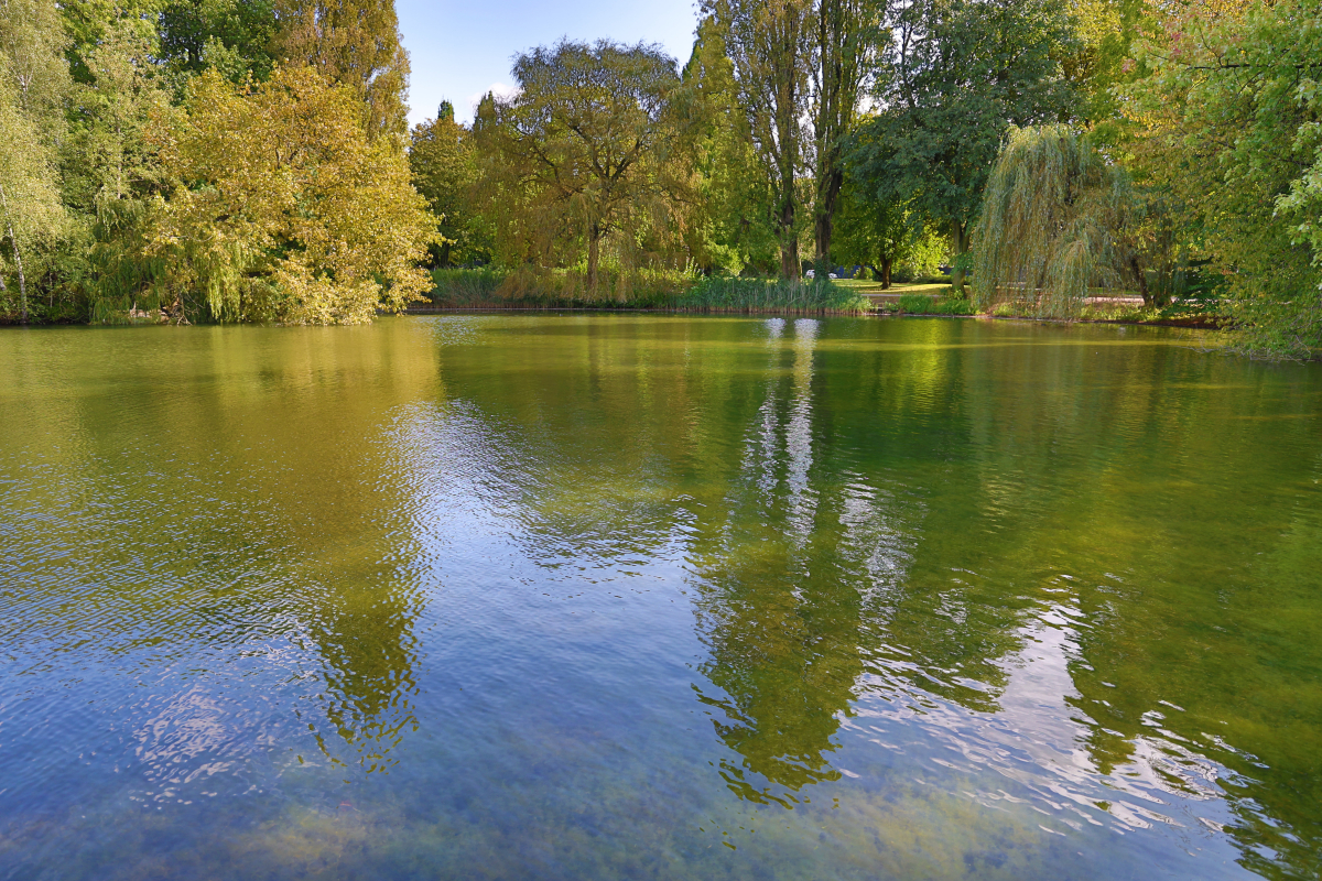 See am Nordpark