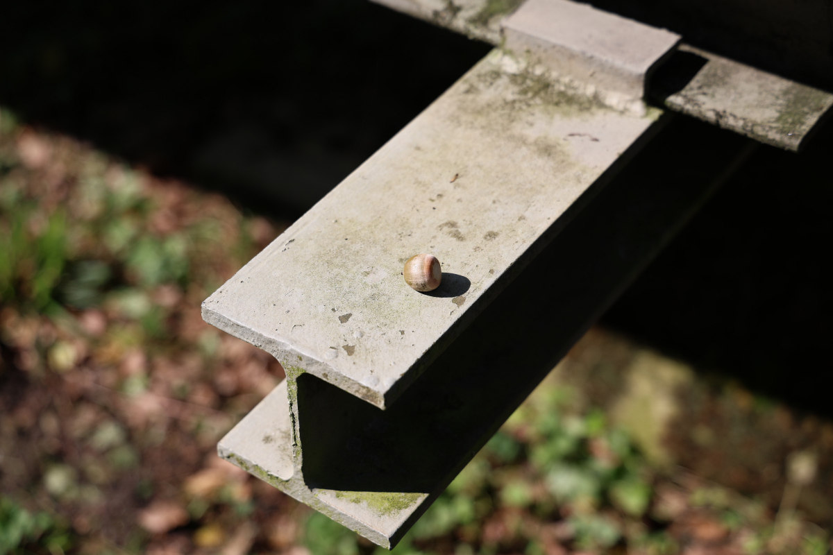 Nuss auf Stahlträger