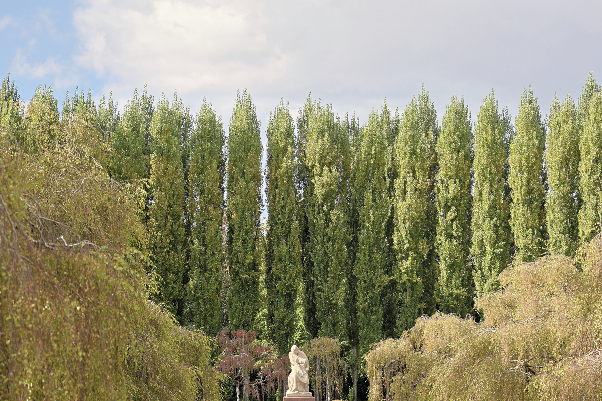 Statue