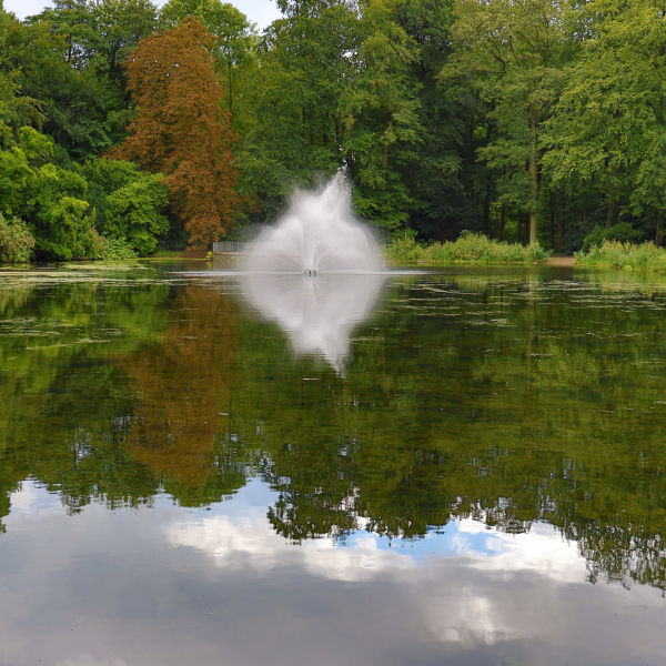 Naturbild