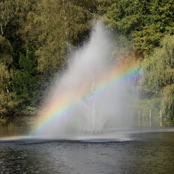Regenbogen in Wasserfontäne