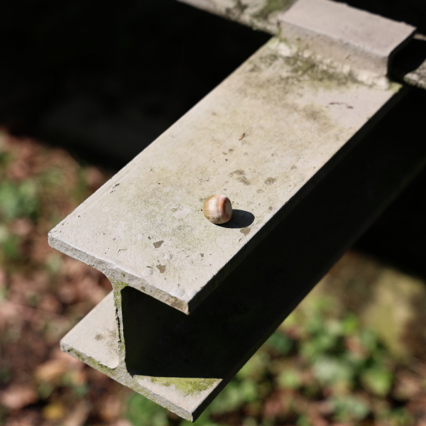 Nuss auf Stahlträger