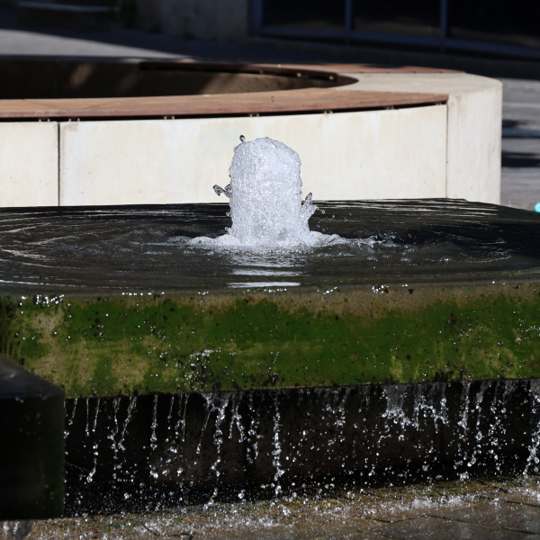 Eingefrorenes Wasser