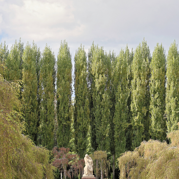Statue