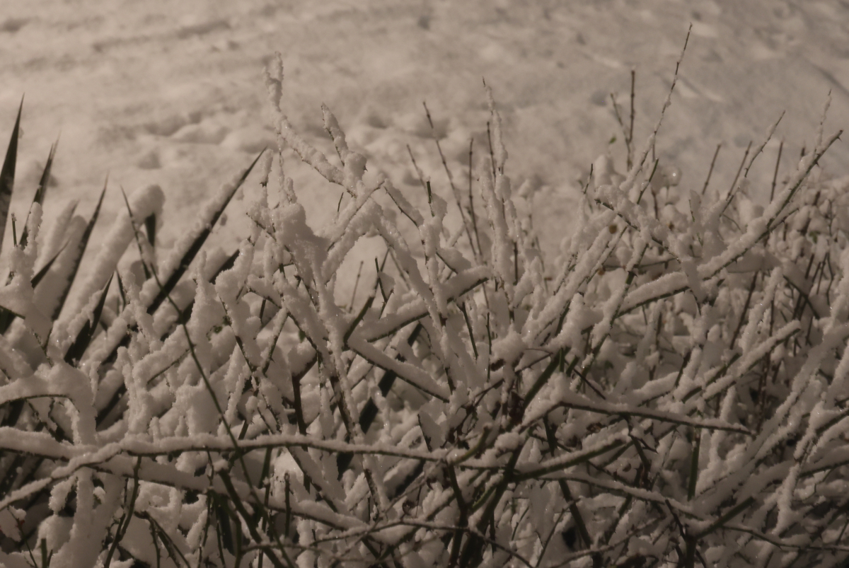 Winterimpressionen