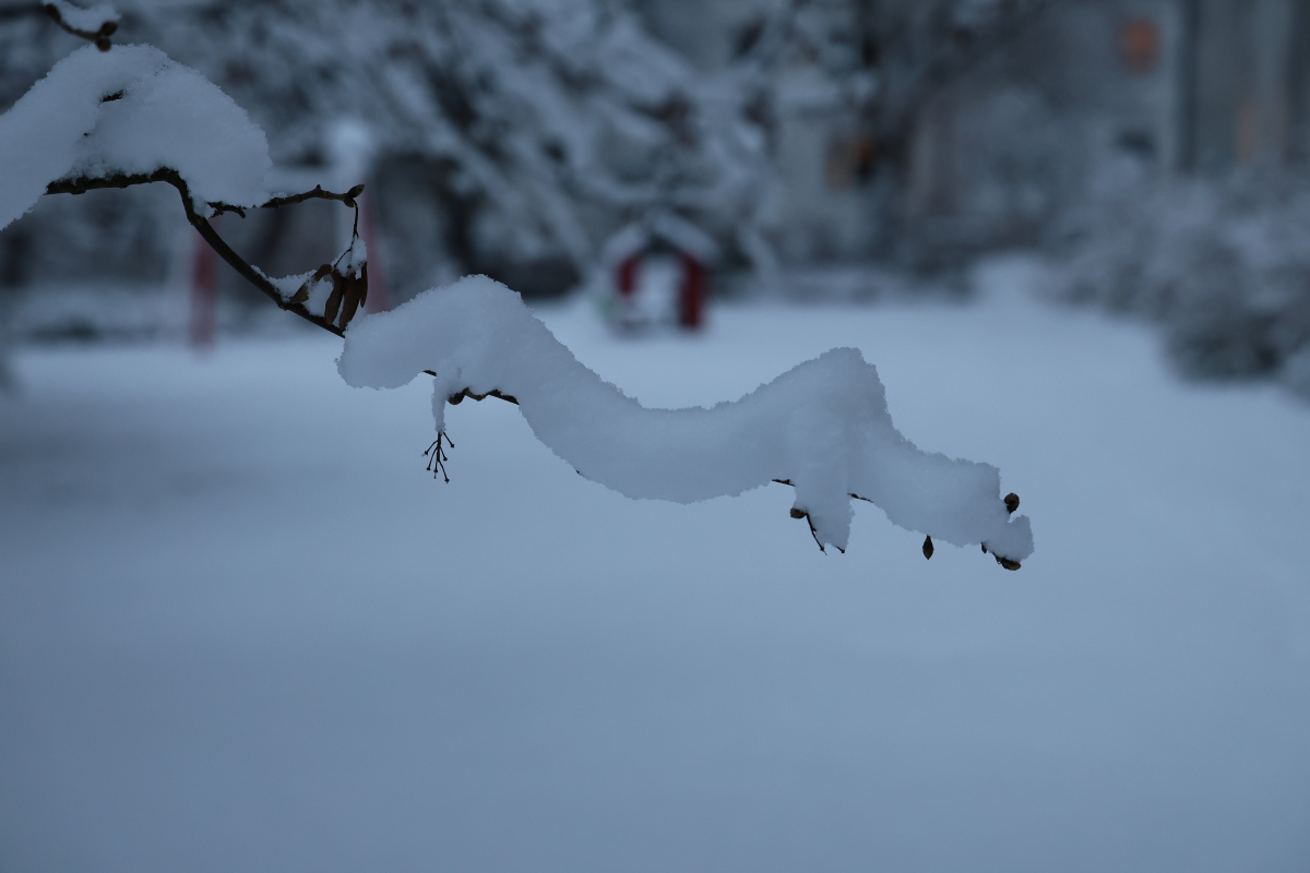 Winterimpressionen