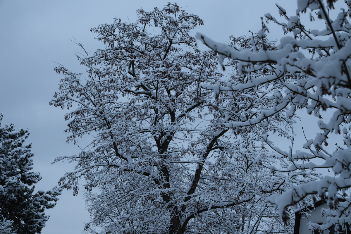Winterimpressionen