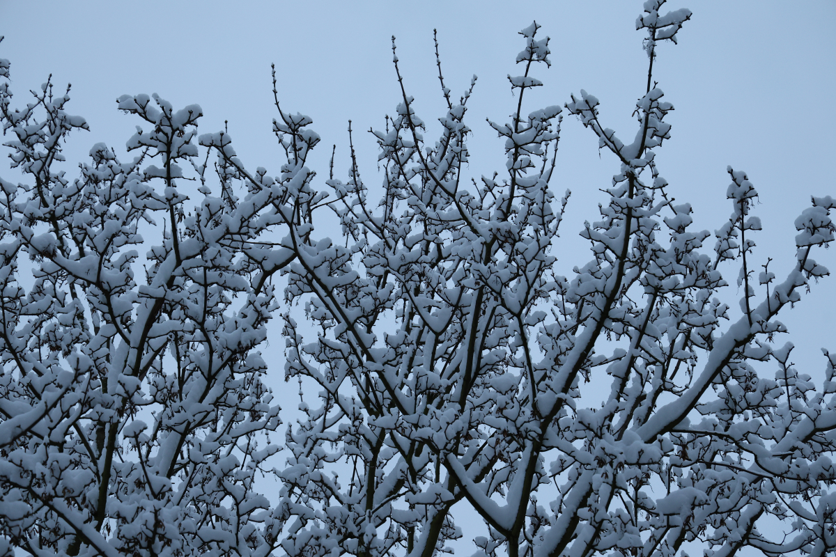 Winterimpressionen