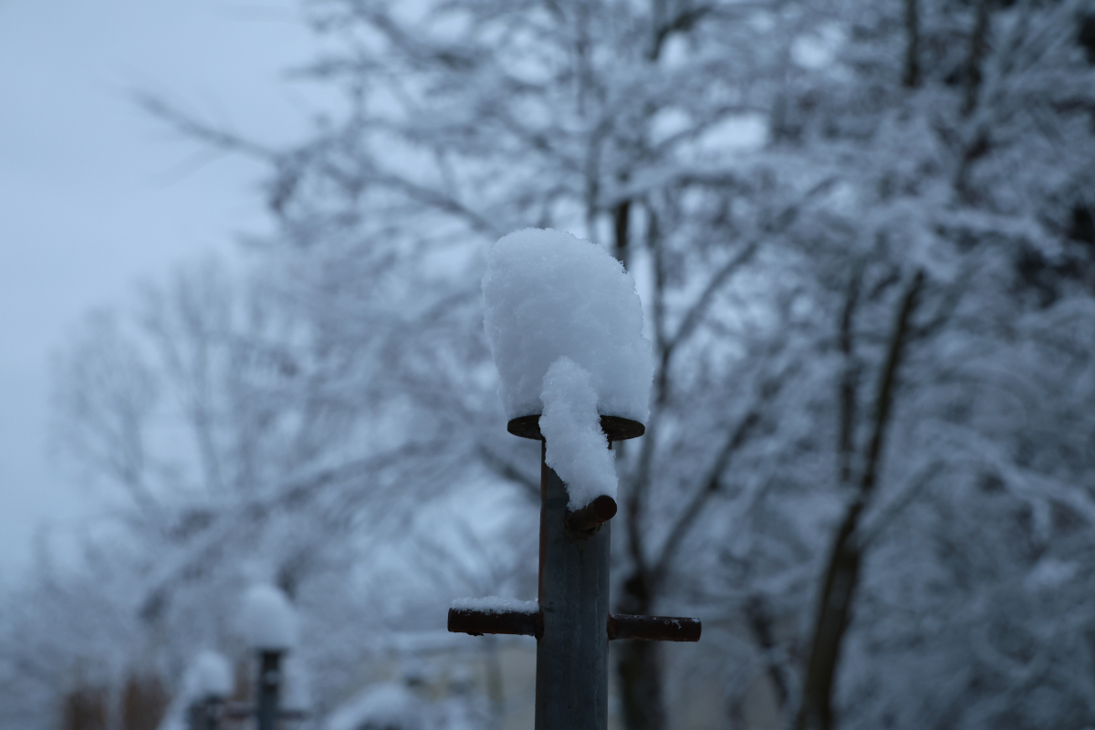 Winterimpressionen