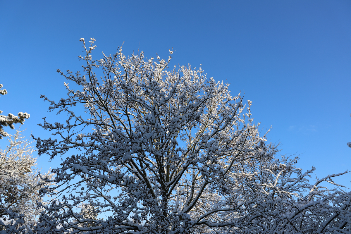 Winterimpressionen