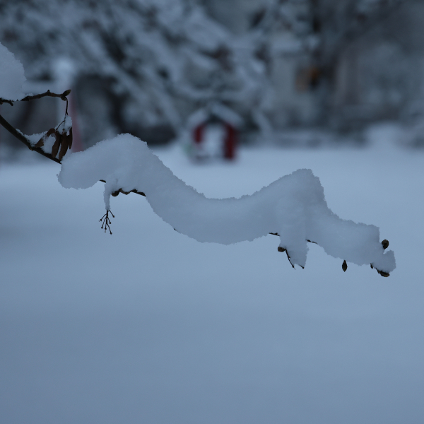 Winterimpressionen