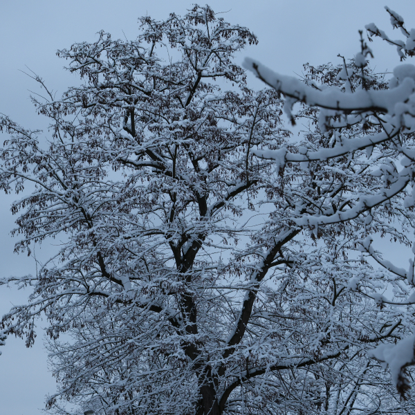 Winterimpressionen