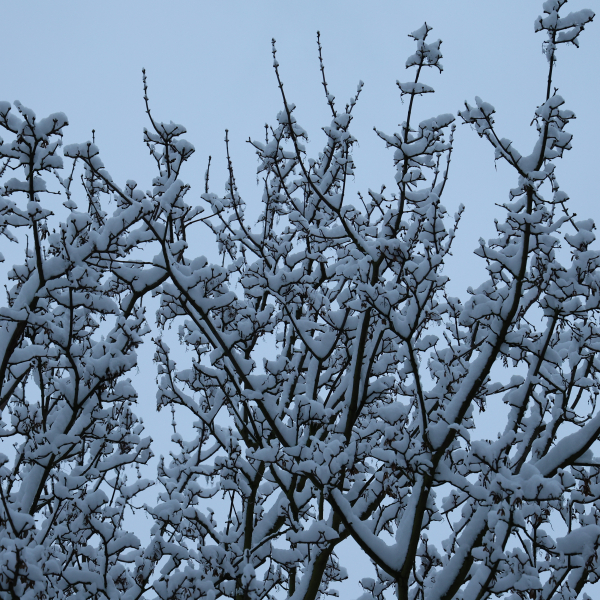 Winterimpressionen