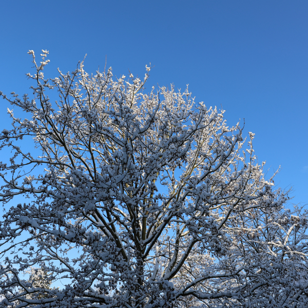 Winterimpressionen