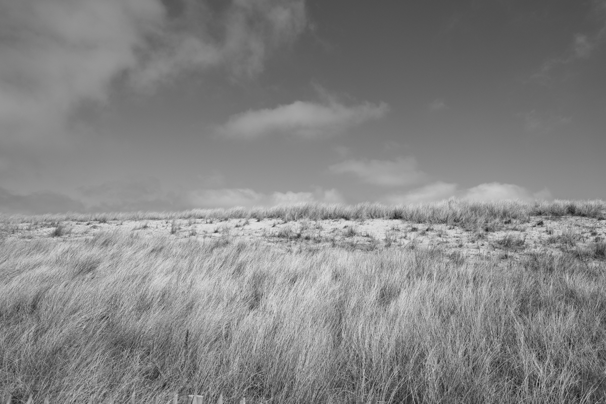 Monochrome Aufnahme vom Deich in List