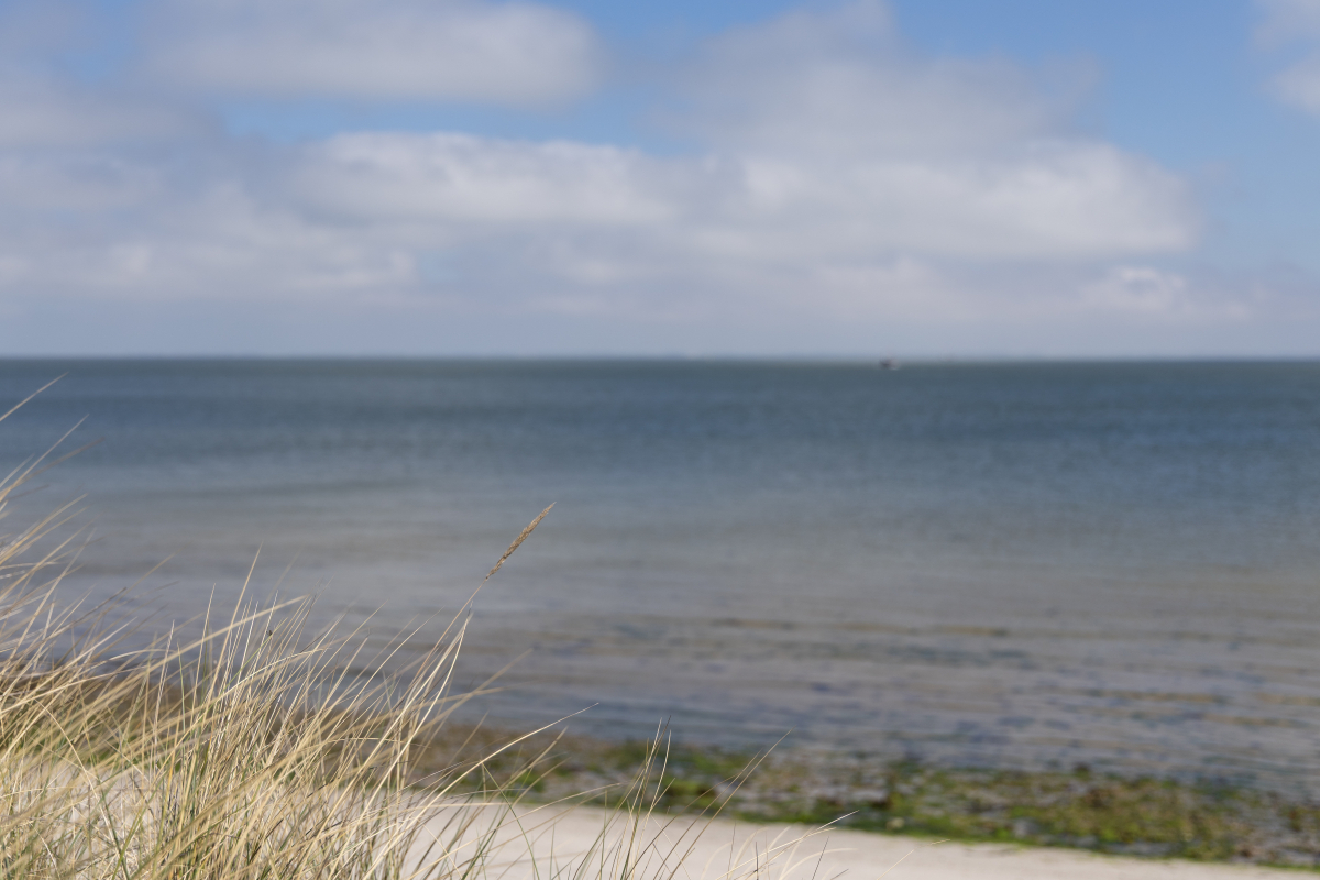 List auf Sylt