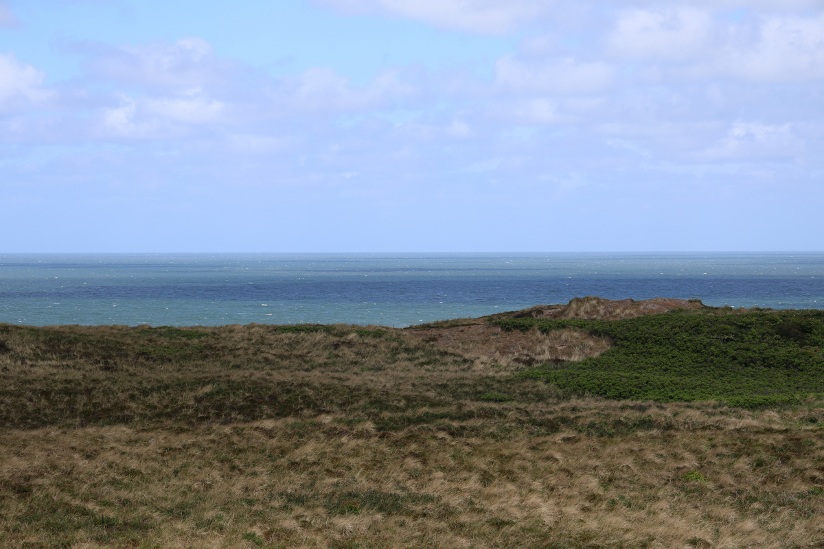 Blick auf die Nordsee