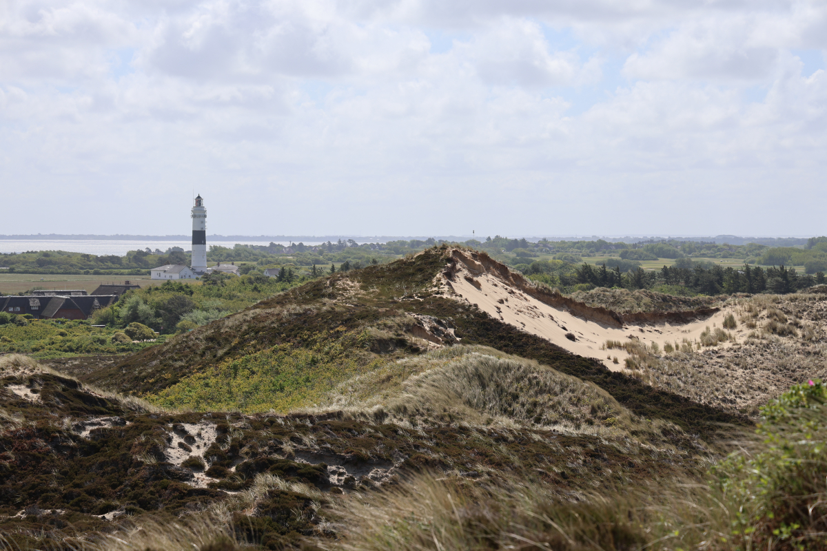 Blick auf Kampen
