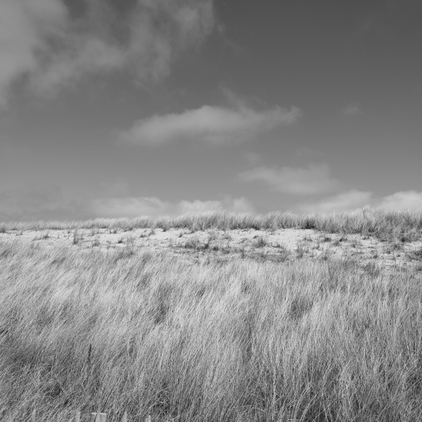 Monochrome Aufnahme vom Deich in List