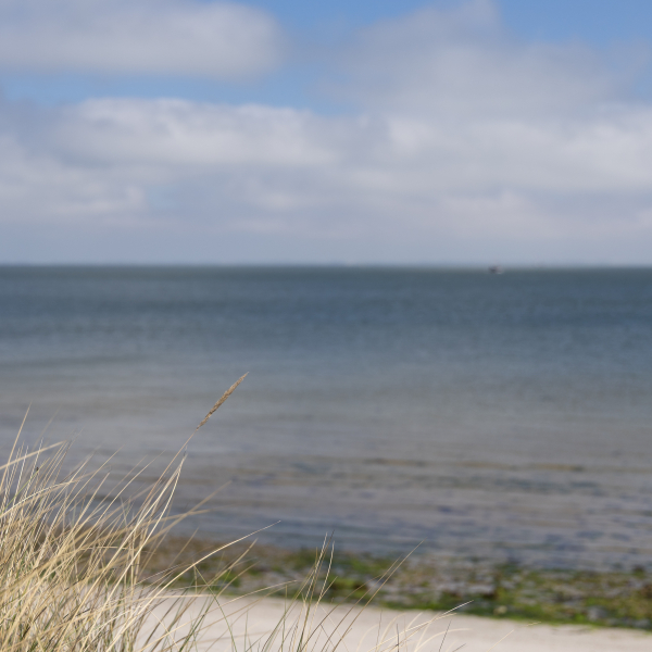 List auf Sylt