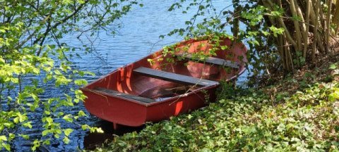 Boot am Ufer