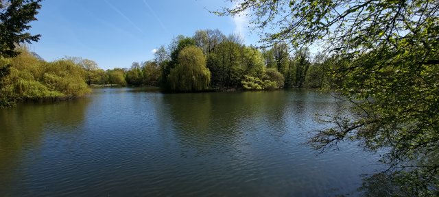 Seeblick
