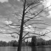 Natur
