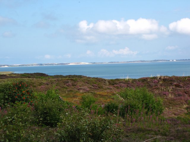 Naturfoto auf Sylt