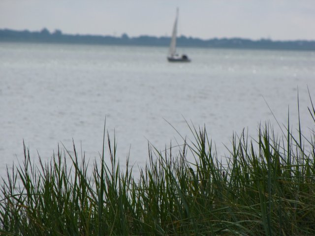 Naturfoto auf Sylt